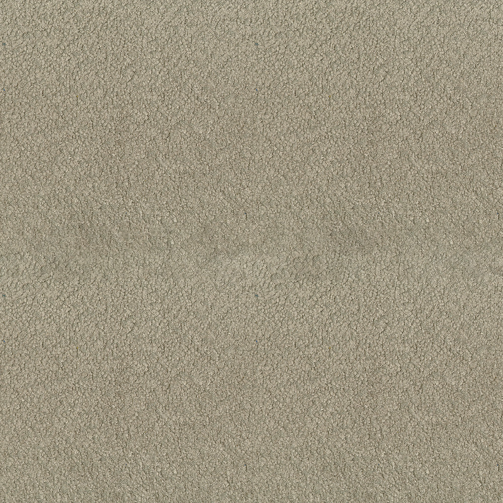 Felicity 64 Putty by ABBEYSHEA Fabric 100% Polyester CN 160,000 Double Rubs (Wyzenbeek) </p><p>Repeat: Horizontal: and Vertical: 55 in. (140 cm) - Fabric Carolina -