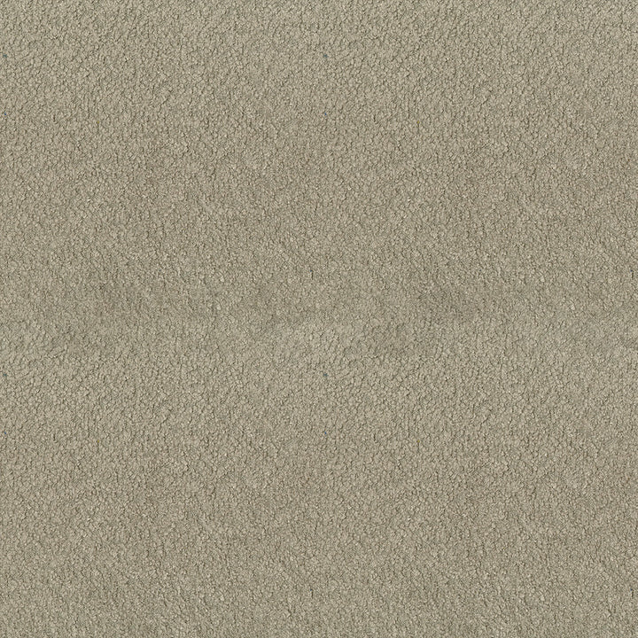Felicity 64 Putty by ABBEYSHEA Fabric 100% Polyester CN 160,000 Double Rubs (Wyzenbeek) </p><p>Repeat: Horizontal: and Vertical: 55 in. (140 cm) - Fabric Carolina -