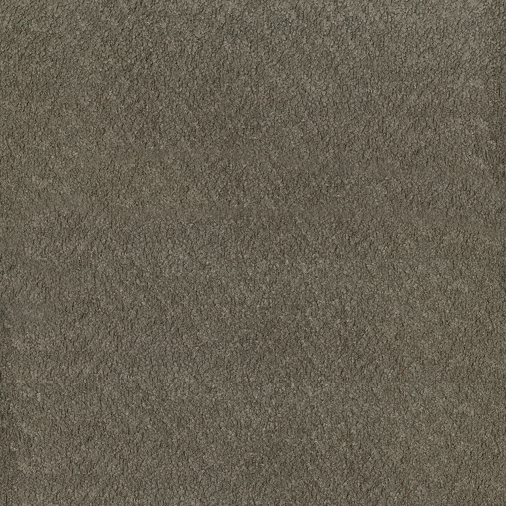 Felicity 804 Mushroom by ABBEYSHEA Fabric 100% Polyester CN 160,000 Double Rubs (Wyzenbeek) </p><p>Repeat: Horizontal: and Vertical: 55 in. (140 cm) - Fabric Carolina -