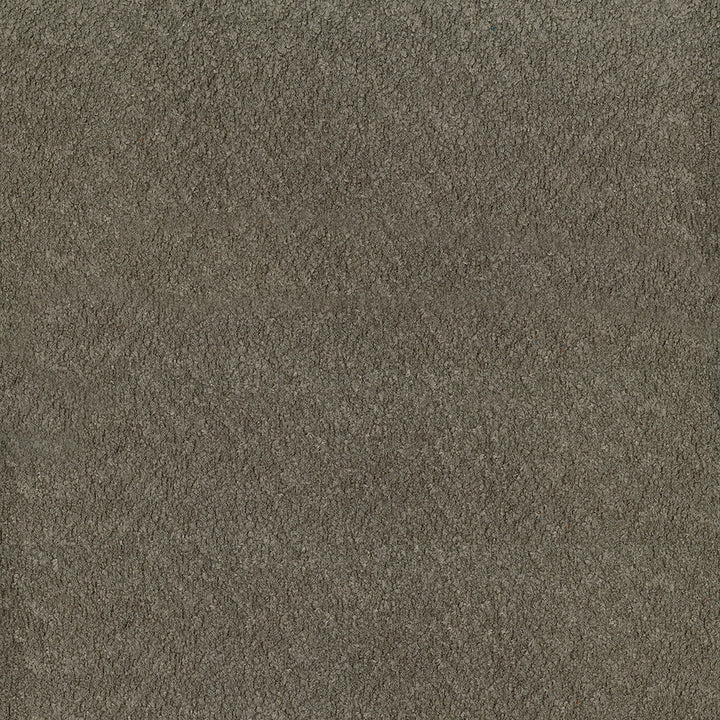 Felicity 804 Mushroom by ABBEYSHEA Fabric 100% Polyester CN 160,000 Double Rubs (Wyzenbeek) </p><p>Repeat: Horizontal: and Vertical: 55 in. (140 cm) - Fabric Carolina -