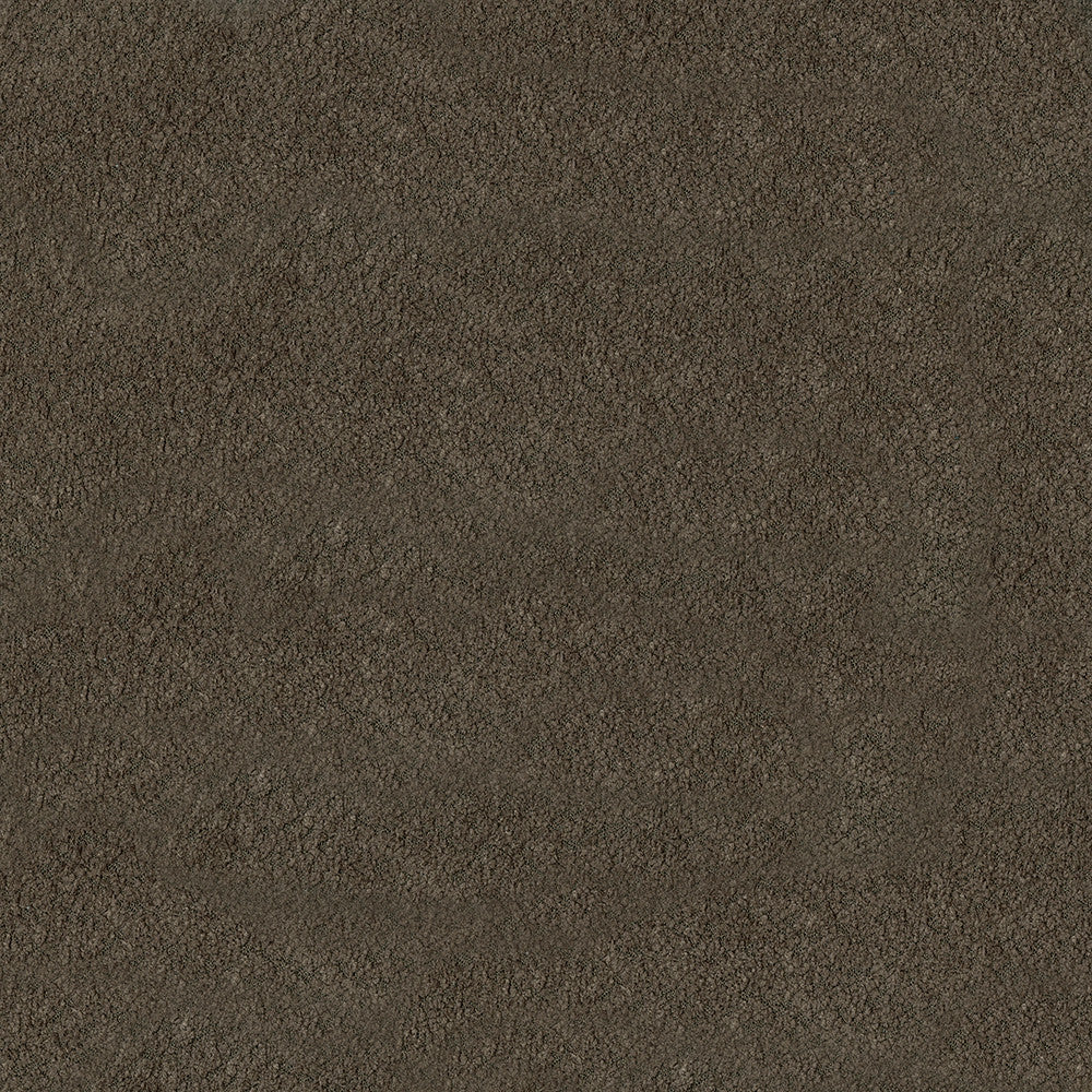 Felicity 91 Peat by ABBEYSHEA Fabric 100% Polyester CN 160,000 Double Rubs (Wyzenbeek) </p><p>Repeat: Horizontal: and Vertical: 55 in. (140 cm) - Fabric Carolina -