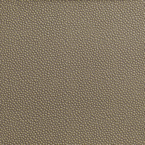 Fetch Hemp by Kravet Contract Fabric
