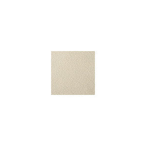 Fetch Champagne by Kravet Contract Fabric