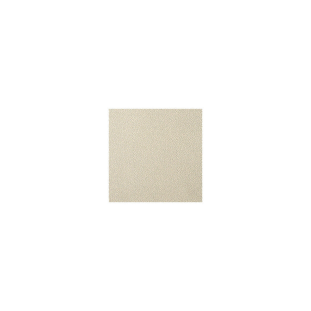 Fetch Champagne by Kravet Contract Fabric FOUNDATIONS / VALUE POLY VINYL CHLORIDE - 100% China HEAVY Horizontal: 0 and Vertical: 0 54 - Fabric Carolina -