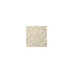 Fetch Champagne by Kravet Contract Fabric