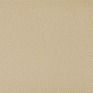 Fetch Sandbar by Kravet Contract Fabric
