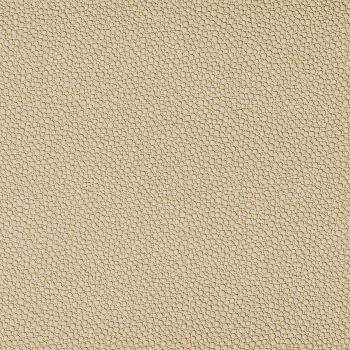 Fetch Sandbar by Kravet Contract Fabric Kravet Contract Fabric Fetch SandbarFabric FOUNDATIONS / VALUE POLY VINYL CHLORIDE - 100% China </p><p>Repeat: H: 0, V: 0 54 - Fabric Carolina -