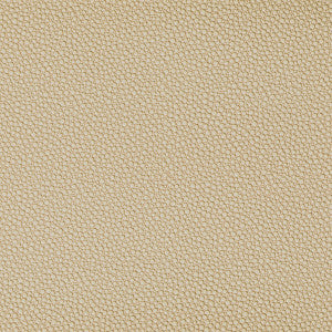 Fetch Sandbar by Kravet Contract Fabric
