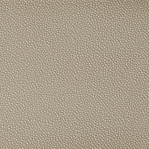 Fetch Stone by Kravet Contract Fabric