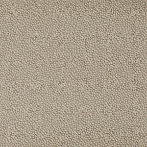 Fetch Stone by Kravet Contract Fabric