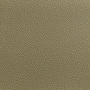 Fetch Radiant by Kravet Contract Fabric