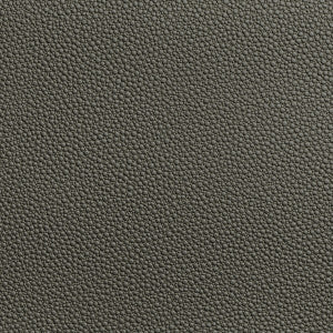 Fetch Granite by Kravet Contract Fabric