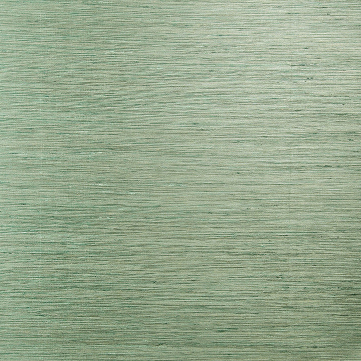 Finish Line # 895 Spa by Maxwell Fabric PEAK PERFORMANCE 100% POLYESTER TURKEY </p><p>Repeat: Horizontal: and Vertical: 60" - Fabric Carolina -