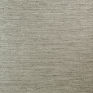 Finish Line # 920 Pewter by Maxwell Fabric