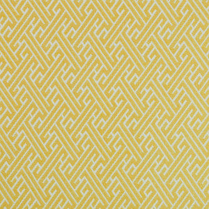 Focus # 130 Yellow by Maxwell Fabric