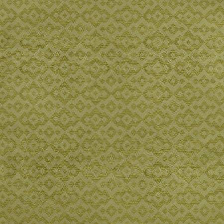 Fes # 207 Kiwi by Maxwell Fabric STUDIO-MARRAKESH 74% POLYESTER 26% VISCOSE INDIA </p><p>Repeat: Horizontal: H-1.75 and Vertical: V-1.4 56.25" - Fabric Carolina -