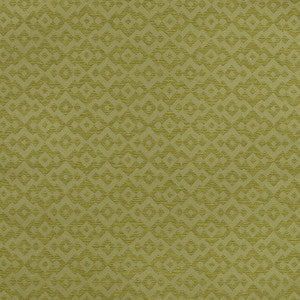 Fes # 207 Kiwi by Maxwell Fabric