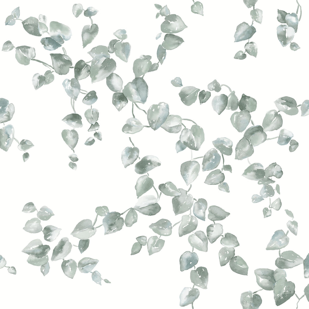Creeping Fig Vine Sage Wallpaper by York Wallcoverings Designer