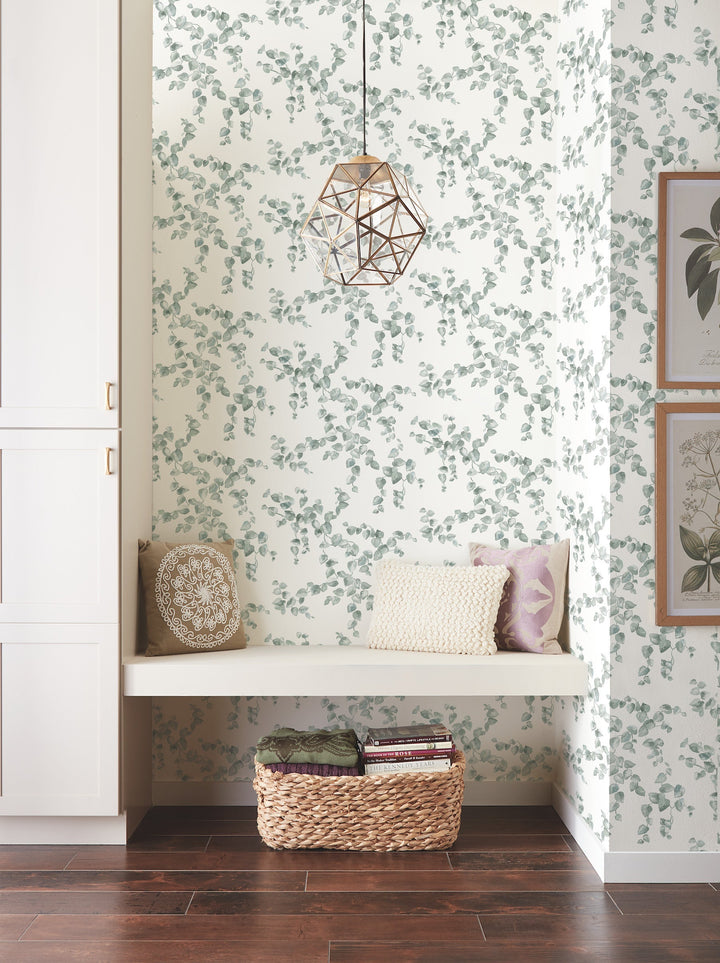 Creeping Fig Vine Sage Wallpaper by York Wallcoverings Designer