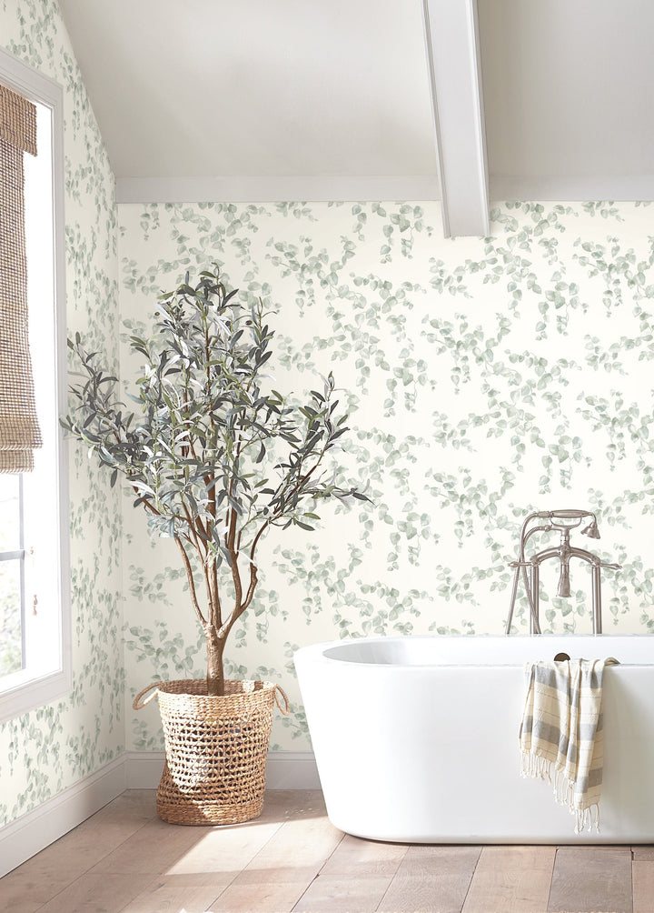 Creeping Fig Vine Sage Wallpaper by York Wallcoverings Designer