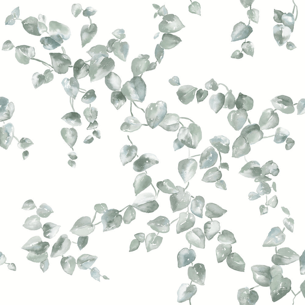 Creeping Fig Vine Sage Wallpaper by York Wallcoverings Earthy Tones Covers about 56.4 square feet 20.5-in by 33-ft long roll Unpasted 20.5 - Fabric Carolina -
