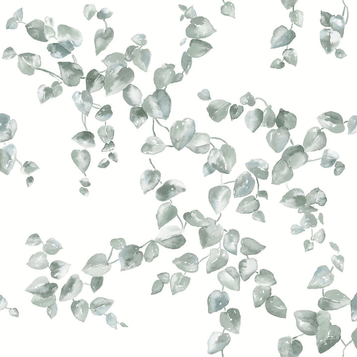 Creeping Fig Vine Sage Wallpaper by York Wallcoverings Earthy Tones Covers about 56.4 square feet 20.5-in by 33-ft long roll Unpasted 20.5 - Fabric Carolina -