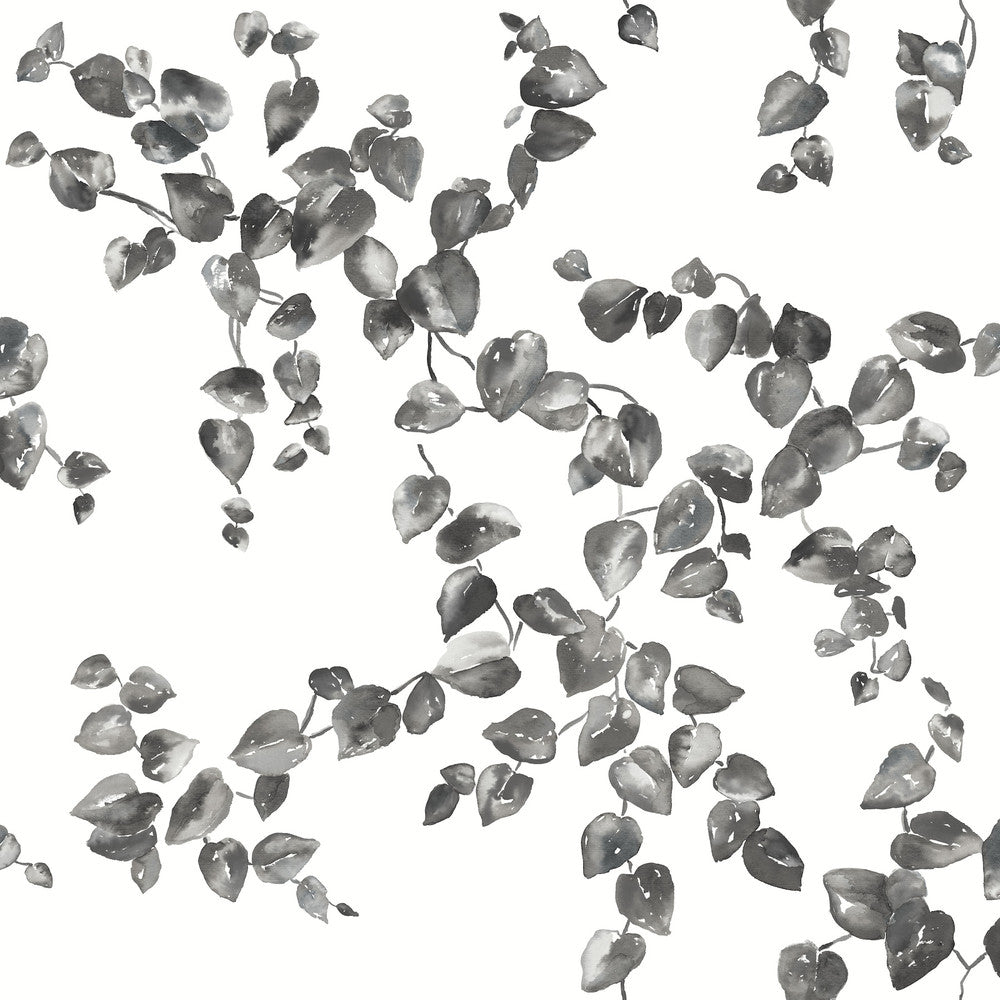 Creeping Fig Vine Black & White Wallpaper by York Wallcoverings Simply Farmhouse Covers about 56.4 square feet 20.5-in by 33-ft long roll Unpasted 20.5 - Fabric Carolina -