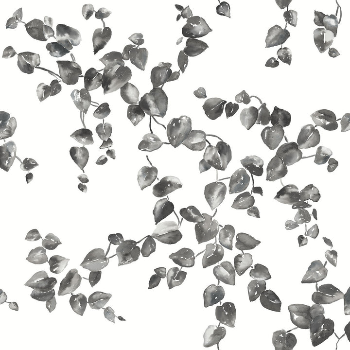 Creeping Fig Vine Black & White Wallpaper by York Wallcoverings Simply Farmhouse Covers about 56.4 square feet 20.5-in by 33-ft long roll Unpasted 20.5 - Fabric Carolina -