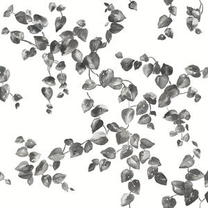 Creeping Fig Vine Black & White Wallpaper by York Wallcoverings