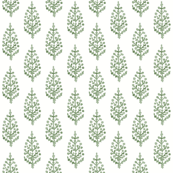Paisley on Calico Green Wallpaper by York Wallcoverings Simply Farmhouse Covers about 56.4 square feet 20.5-in by 33-ft long roll Unpasted 20.5 - Fabric Carolina -