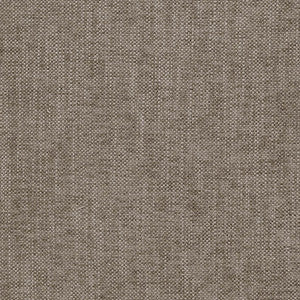 Family Room # 62 Fossil by Maxwell Fabric