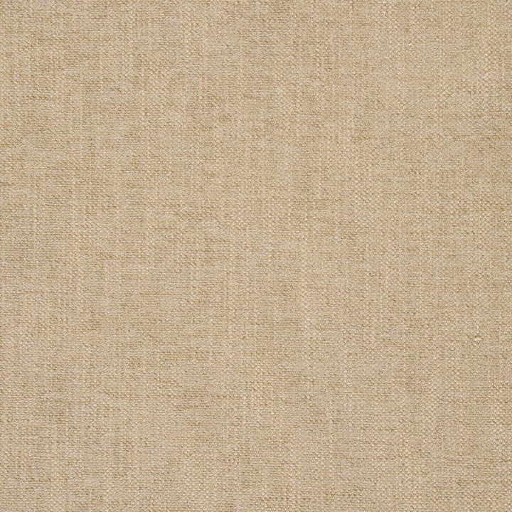 Family Room # 420 Beige by Maxwell Fabric CURLED UP II 39% POLYESTER 30% COTTON
21% VISCOSE 10% LINEN TURKEY </p><p>Repeat: Horizontal: and Vertical: 53.5 - Fabric Carolina -
