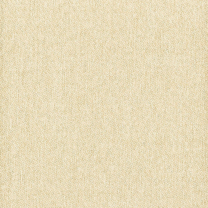 Fidget 1 Raffia by Stout Fabric The Naturals Ii 100% Polyester CHINA FLAME RETARDANT-U.F.A.C. CLASS 1 (OR A) CATB 117-2013 WYZENBEEK 51 000 DOUBLE RUB WEAR TEST (HEAVY DUTY) Horizontal: 0 and Vertical: 0 55 in - Fabric Carolina -