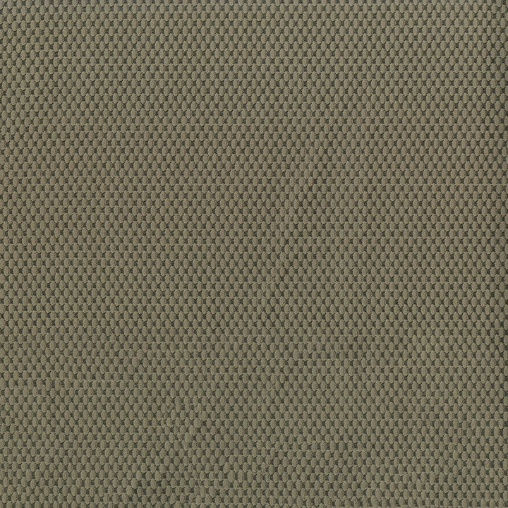 Fiera 602 Tundra by ABBEYSHEA Fabric 100% Polyester CN 20,000 Double Rubs (Wyzenbeek) </p><p>Repeat: Horizontal: and Vertical: 56 in. (142 cm) - Fabric Carolina -