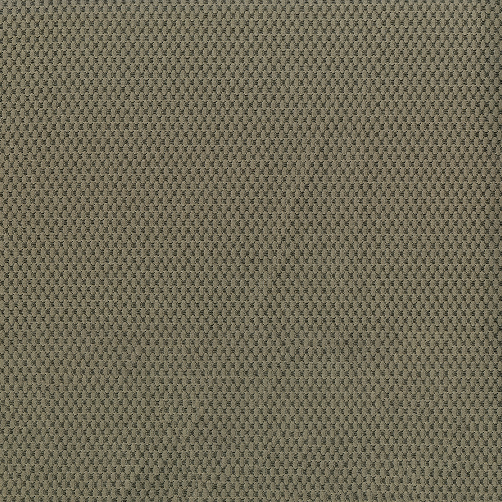Fiera 602 Tundra by ABBEYSHEA Designer Fabric 100% Polyester CN 20,000 Double Rubs (Wyzenbeek) </p><p>Repeat: Horizontal: and Vertical: 56 in. (142 cm) - Swanky Fabrics -