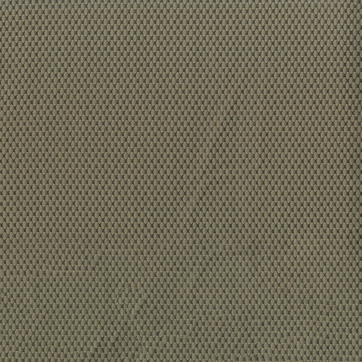 Fiera 602 Tundra by ABBEYSHEA Designer Fabric 100% Polyester CN 20,000 Double Rubs (Wyzenbeek) </p><p>Repeat: Horizontal: and Vertical: 56 in. (142 cm) - Swanky Fabrics -