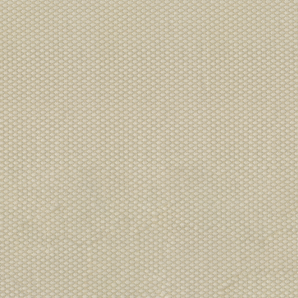 Fiera 61 Ecru by ABBEYSHEA Fabric 100% Polyester CN 20,000 Double Rubs (Wyzenbeek) </p><p>Repeat: Horizontal: and Vertical: 56 in. (142 cm) - Fabric Carolina -
