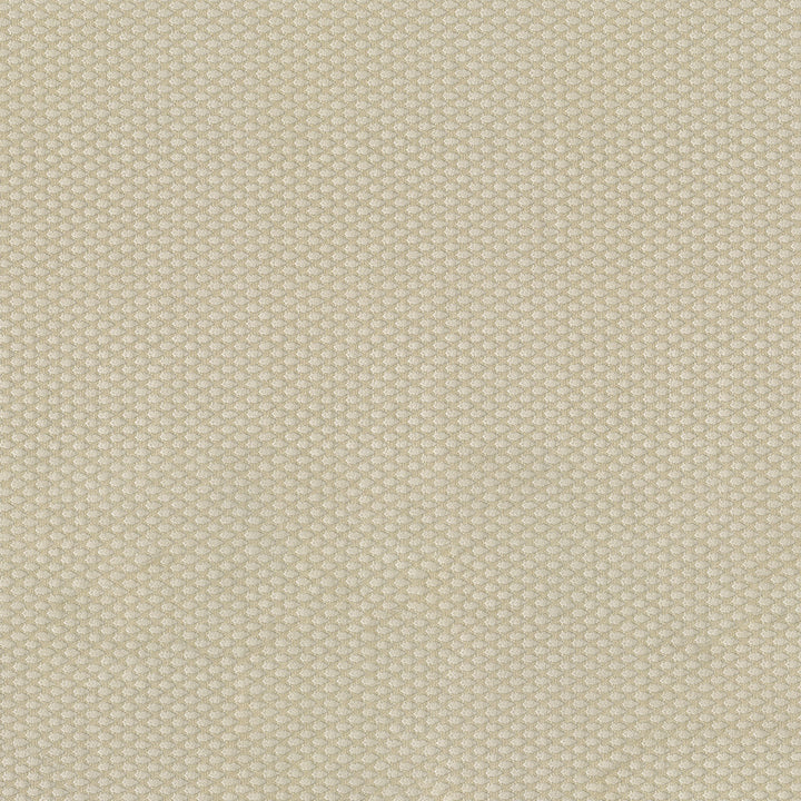 Fiera 61 Ecru by ABBEYSHEA Fabric 100% Polyester CN 20,000 Double Rubs (Wyzenbeek) </p><p>Repeat: Horizontal: and Vertical: 56 in. (142 cm) - Fabric Carolina -