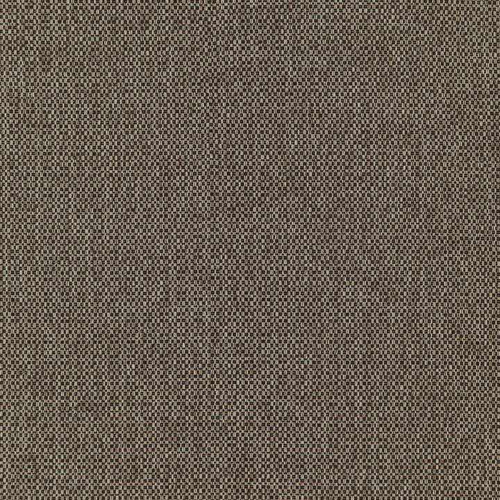 Fierce 38J7391 by JF Designer Fabric Winning Weaves VII- Wovens - Faux Suede Book 100% Polyester China 42000 Horizontal: and Vertical: 58 - Swanky Fabrics -