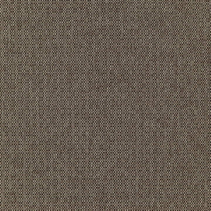 Fierce 38J7391 by JF Fabric Winning Weaves VII- Wovens - Faux Suede Book 100% Polyester China 42000 Horizontal: and Vertical: 58 - Fabric Carolina -