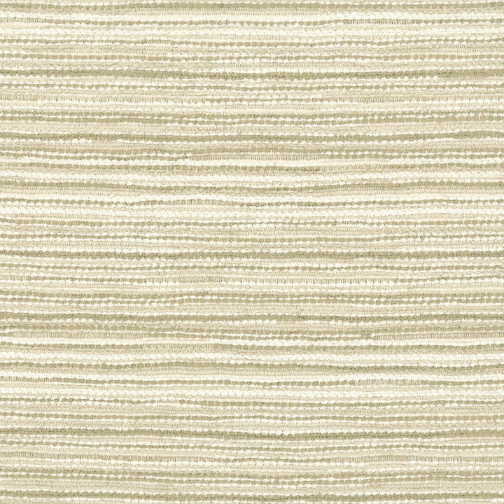 Fifth 1 Buff by Stout Fabric RAINBOW LIBRARY PEARL/PARCHMENT 100%POL CHINA CATB 117-2013 WYZENBEEK 50 000 DOUBLE RUB WEAR TEST (HEAVY DUTY) Horizontal: 0 and Vertical: 2.5 57 in - Fabric Carolina -