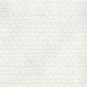 Figaro White 001 by Norbar Fabric Color/NEUTRAL-NATURAL 100% COTTON CHINA 33,000 WYZENBEEK 54 - Fabric Carolina -