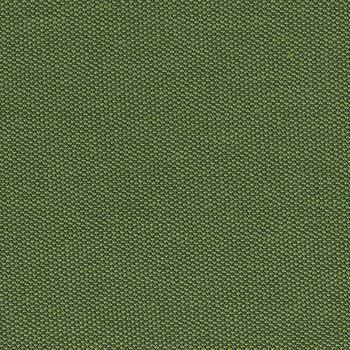 Suburbia 208 Grass by SolarShade Fabric 100% Solution Dyed Polyester CN 150,000 Double Rubs (Wyzenbeek) </p><p>Repeat: Horizontal: and Vertical: 54 in. (137 cm) - Fabric Carolina -