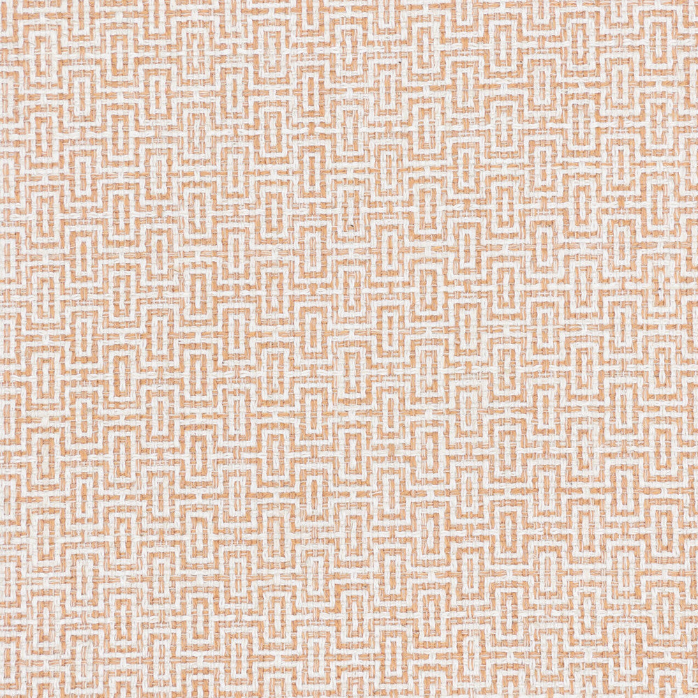 Filigree 2 Melon by Stout Fabric Stout Fabric Filigree 2 MelonFabric RAINBOW LIBRARY CAMELLIA/CLAY INDIA </p><p>Repeat: H: 0.875, V: 0.875 55 in - Fabric Carolina -