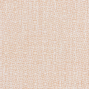 Filigree 2 Melon by Stout Fabric