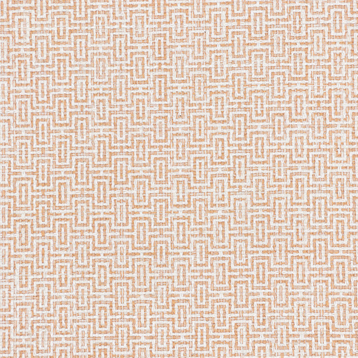 Filigree 2 Melon by Stout Fabric RAINBOW LIBRARY CAMELLIA/CLAY 72%POL 14%COT 7%SVI 7%LIN INDIA Horizontal: 0.875 and Vertical: 0.875 55 in - Fabric Carolina -