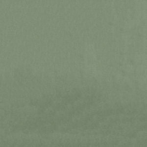 Finale Sage 202 by Norbar Fabric COMMODORE 100% POLYESTER 56 - Fabric Carolina -
