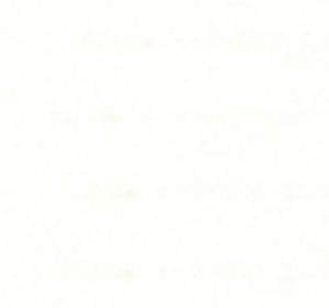Finale Snow 61 by Norbar Fabric COMMODORE 100% POLYESTER 56 - Fabric Carolina -