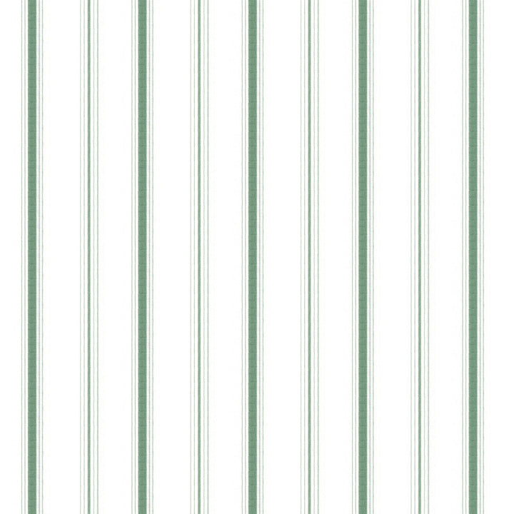Finksburg 1 Evergreen by Stout Fabric RAINBOW LIBRARY SPRING/EVERGREEN 100%COT INDIA Horizontal: 4.875 and Vertical: 0.000 54 in - Fabric Carolina -