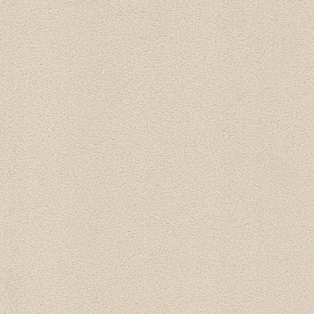 Finnerty 2 Ecru by Stout Fabric CLOUD NINE 100%POL INDONESIA Horizontal: 0.000 and Vertical: 0.000 54 in - Fabric Carolina -